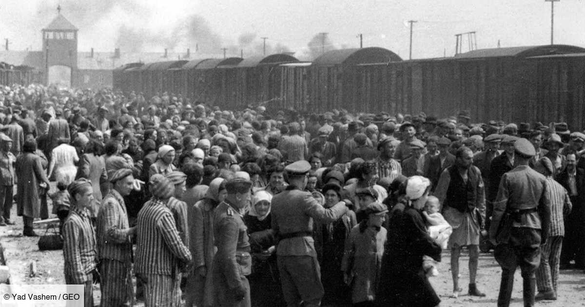 Auschwitz Birkenau L Ouverture Des Archives Permet De Retracer Le