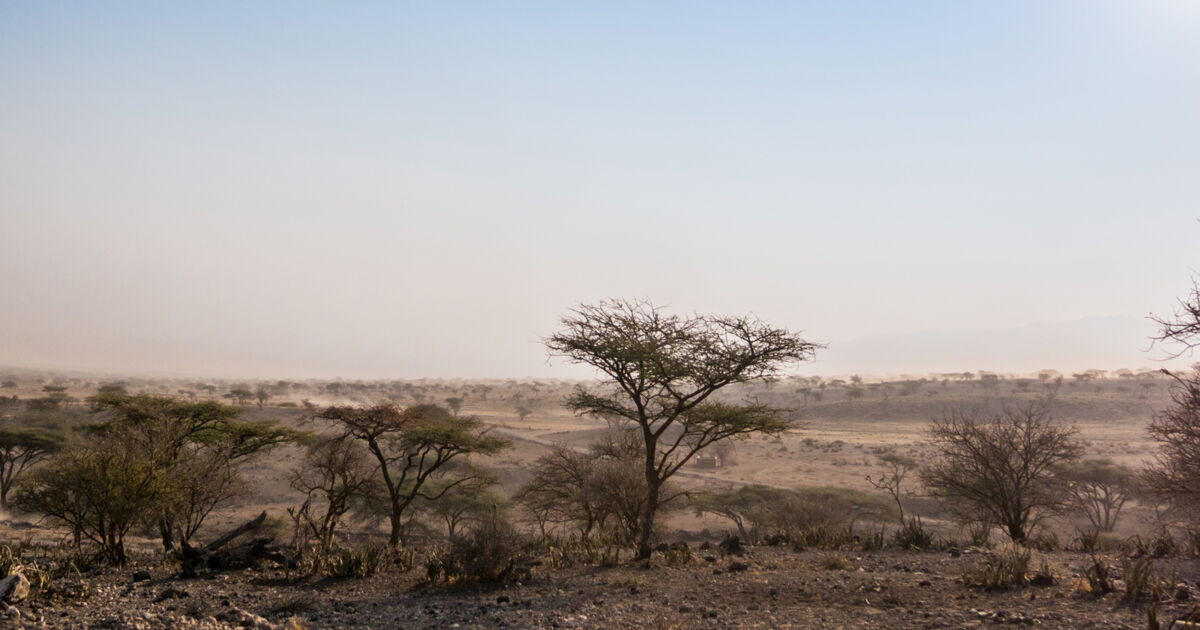 Où cette photo atelle été prise ? Tanzanie, Afrique du Sud, Kenya ? Geo.fr