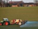 Perturbateurs endocriniens: le gouvernement publie deux listes de pesticides