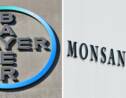 Bayer mise sur l'agriculture intensive en croquant Monsanto
