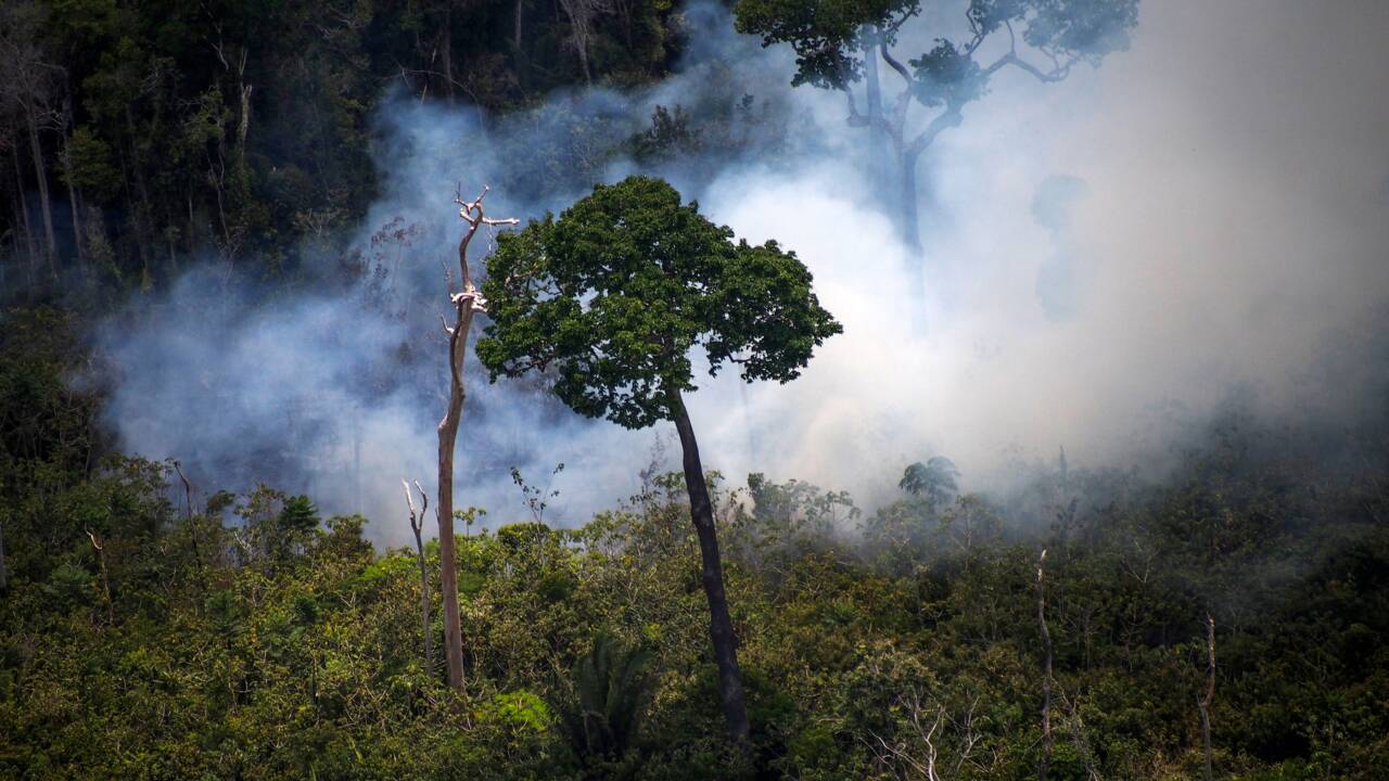 Amazonie : entre sécheresse et déforestation, les incendies ont grimpé de 83% au Brésil