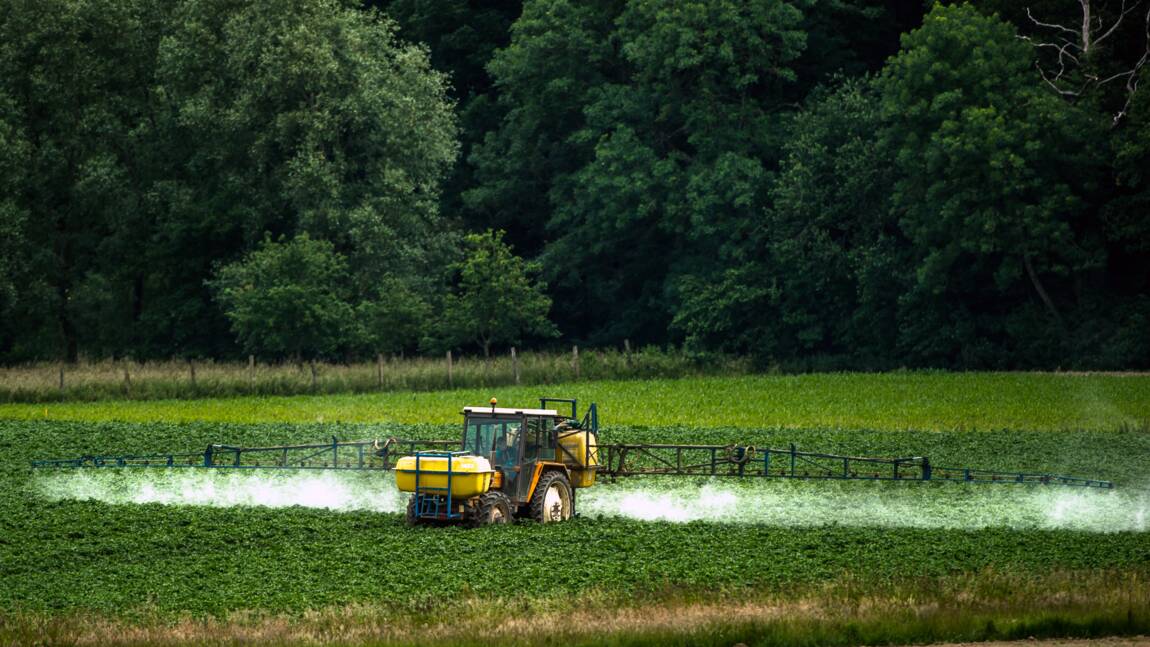 Réduire les pesticides nuit rarement à la productivité