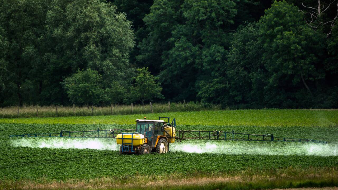 Pesticides: les céréaliers peuvent mieux faire 