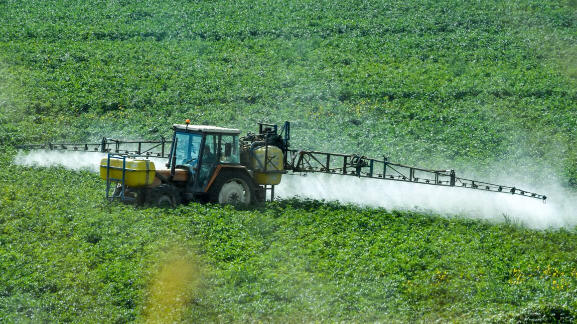 Pesticides: les parlementaires français prônent une interdiction limitée du glyphosate