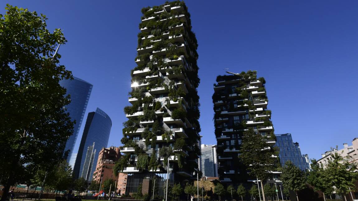 Les "forêts verticales" de Milan s'exportent de la Chine aux Pays-Bas