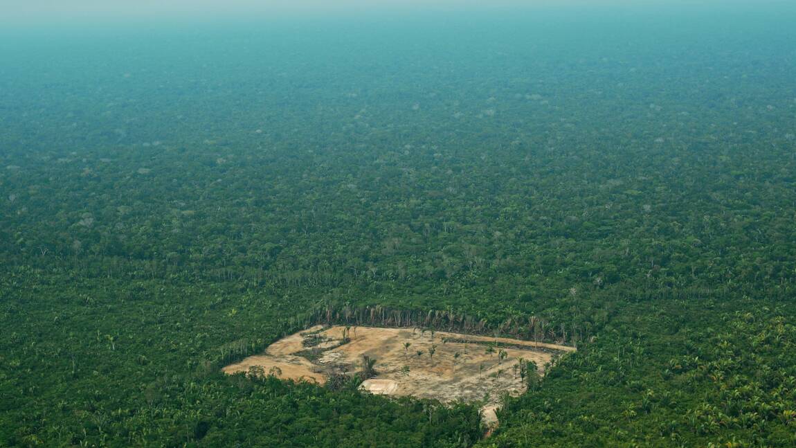 Déforestation au Brésil: le gouvernement dénonce des chiffres "sensationnalistes"