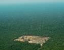 Déforestation au Brésil: le gouvernement dénonce des chiffres "sensationnalistes"