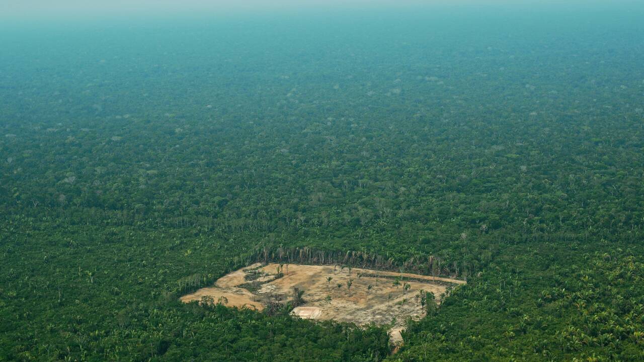 Brésil: la déforestation de l'Amazonie a presque doublé en un an