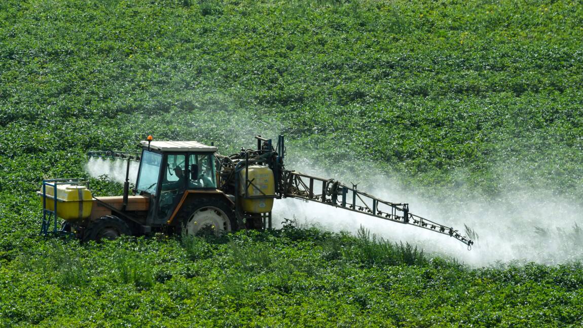 L'usage des pesticides a augmenté de 12% entre 2014 et 2016