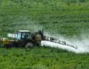 Pesticides: l'Etat imposera des "zones de non traitement" si pas d'accords locaux