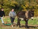 Dans le Lot-et-Garonne, pas de bonnet d'âne à l'école des bourricots