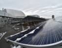 L'Ukraine construit sa première centrale solaire à Tchernobyl