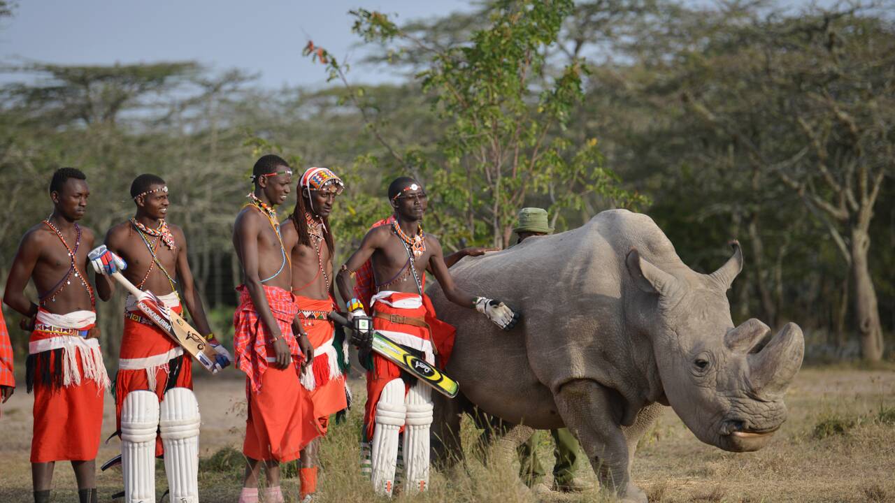 Kenya: mort du dernier rhinocéros blanc du Nord mâle