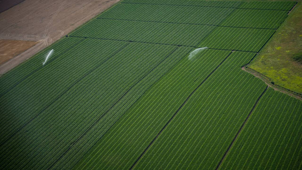 L'agroécologie pourrait nourrir et sauver la planète, selon l'ONU