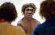 Why did Neanderthals have big noses?