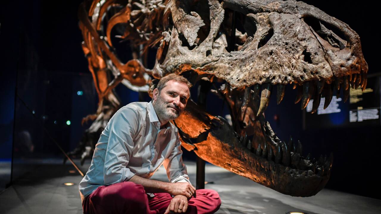Un T.Rex pose sa carcasse au Jardin des Plantes à Paris