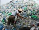 Le plastique biodégradable, utile mais pas miracle contre la pollution