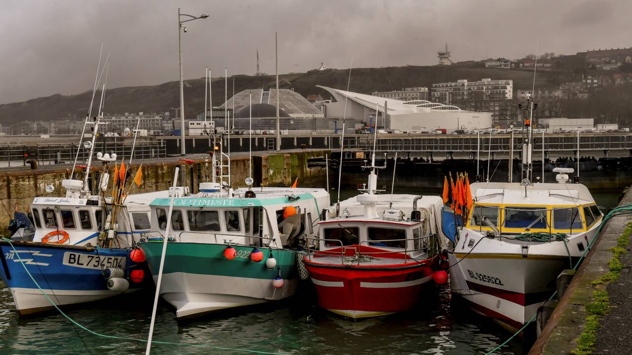 Des pêcheurs vont bloquer plusieurs ports européens pour protester contre la pêche électrique
