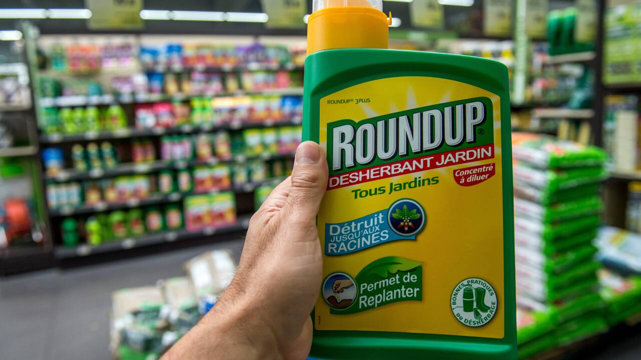 Procès Monsanto: les anti-pesticides en France exultent