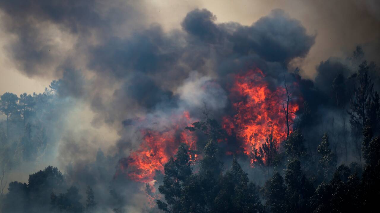 Les incendies en Europe s'aggraveront même si les objectifs climatiques sont tenus