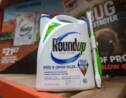 Monsanto fait appel de sa condamnation dans le procès Roundup
