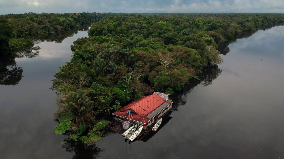 Au coeur de l'Amazonie, vivre dans la plus grande jungle du monde