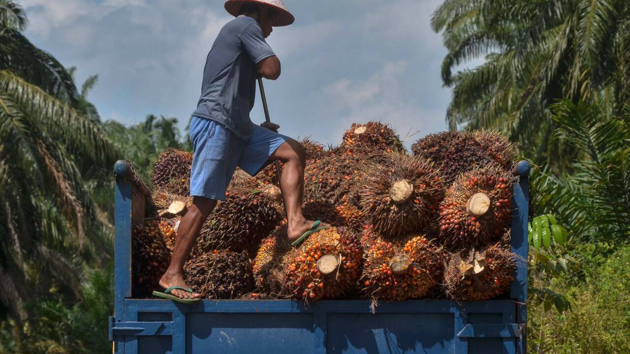Une pub contre l'huile de palme critiquée par un acteur majeur du secteur