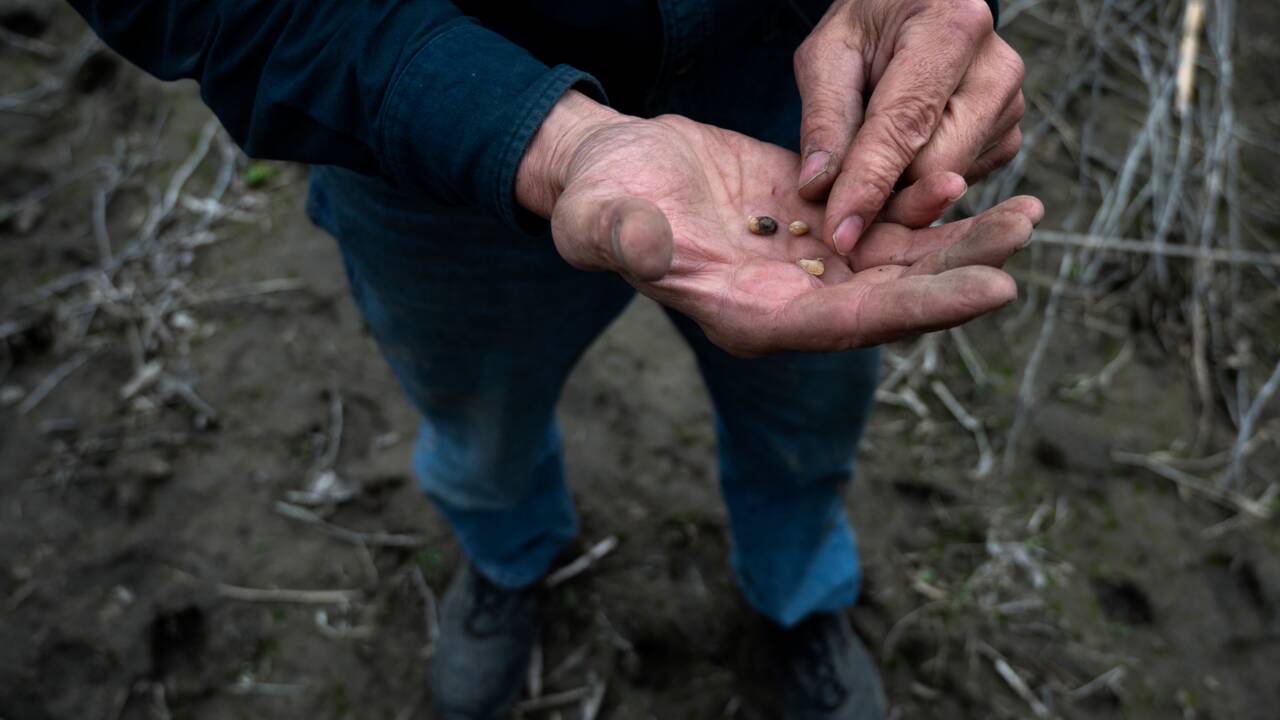 Des inondations rares plongent un couple de fermiers américains en "terre inconnue"