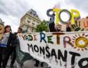 Des marches en France pour dénoncer les activités de Bayer-Monsanto