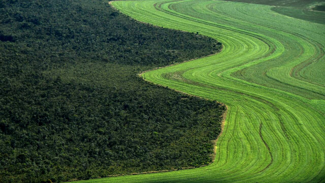 Le Brésil, géant agricole pas vraiment vert