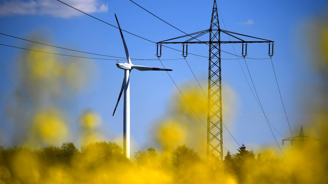 Allemagne: l'éolien, pilier de la transition énergétique, vacille