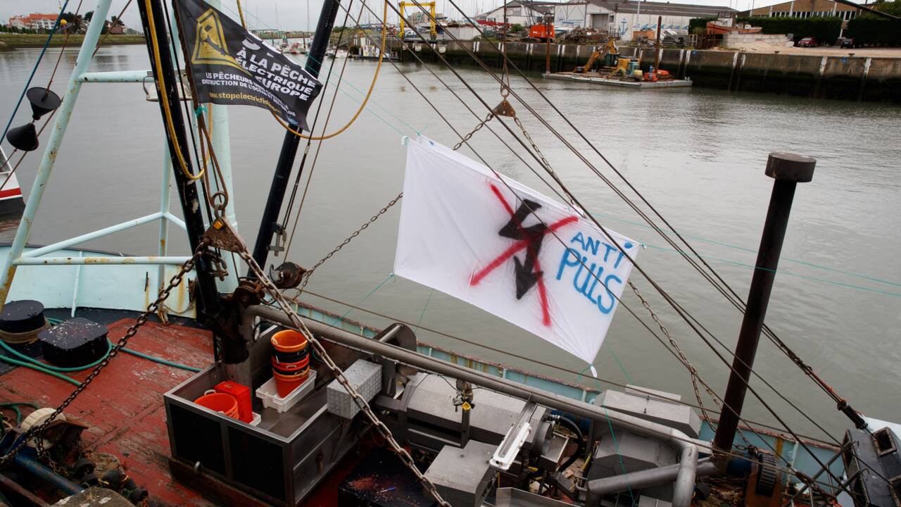 Pourquoi les pêcheurs protestent-ils contre la pêche électrique ?