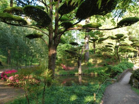Le jardin japonais du Parc Oriental de Maulévrier