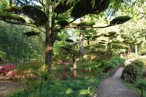Le jardin japonais du Parc Oriental de Maulévrier - GEO
