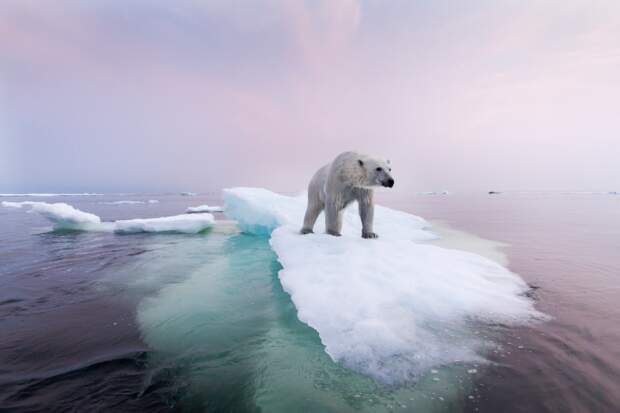 10 Photos Qui Revelent Le Visage Du Changement Climatique Geo