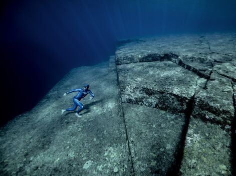 Japon, Mexique, île Maurice… L'incroyable odyssée sous-marine de l'apnéiste Guillaume Néry