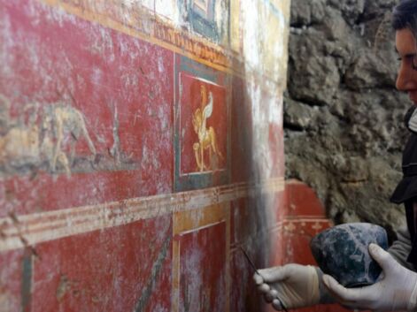 De splendides décors et une fresque antique révélés sur le site de Pompéi