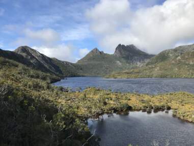Tasmanie : promenons-nous dans les bois… pendant que le diable n’y est pas