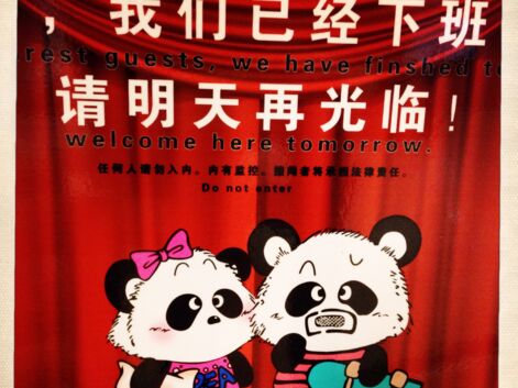 Panda mania en Chine : le making-of de notre reportage