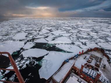 Apnée sous glace, morses et ours polaires : récit d'une expédition en mer de Sibérie