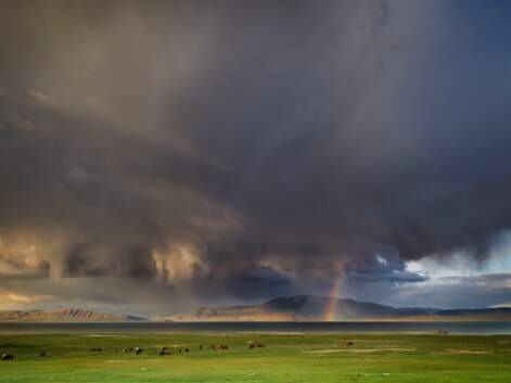 En Mongolie, un époustouflant voyage entre steppe et ciel