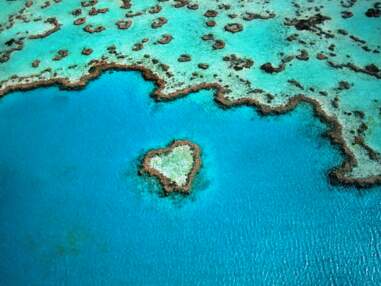 Australie : plongée dans la Grande barrière de corail