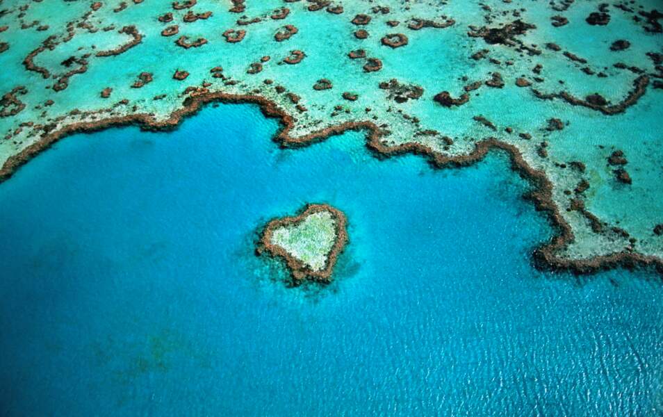 Australie Plong E Dans La Grande Barri Re De Corail Geo