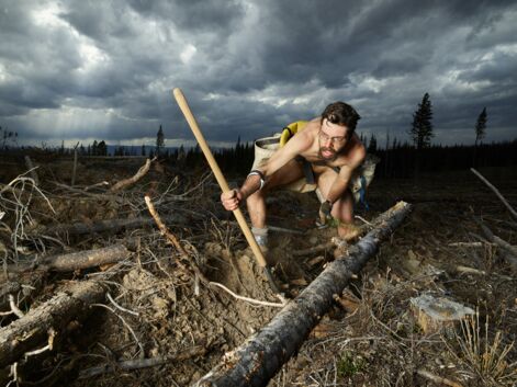 Canada : les "tree planters", ces héros en charge de la reforestation