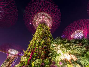 10 activités à ne pas manquer à Singapour