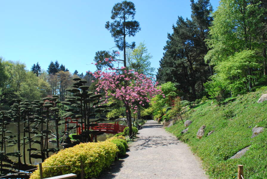 Le jardin japonais du Parc Oriental de Maulévrier - GEO