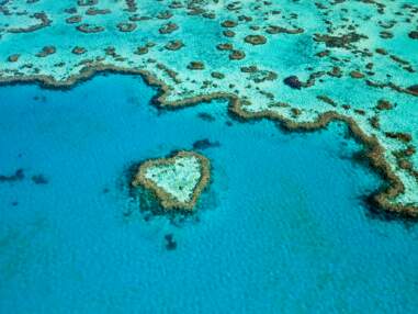 10 expériences à vivre autour de la Grande Barrière de corail
