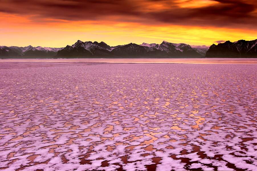 La Beauté Sauvera Le Monde Geo