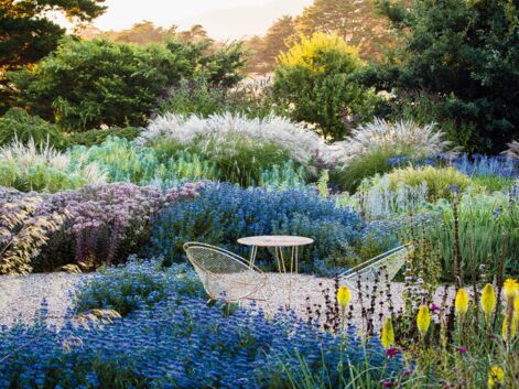 Japon, Australie, Angleterre… Les plus beaux jardins du monde