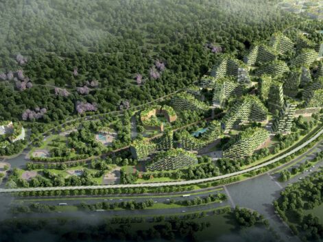 Une "ville-forêt" : l'incroyable projet pour lutter contre la pollution de l'air en Chine